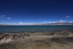 ALI_3346a