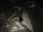 DSC00047
