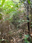 DSC00192