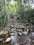 右邊支流 - 田鹿坑(?)
DSC00203