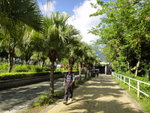 走裕東路
DSC00323