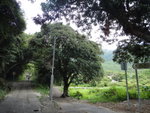 另右邊有條通莫家村的村路
DSC00359