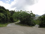 一個大轉彎右路唔知去邊, 入閘門頭?  
DSC00365