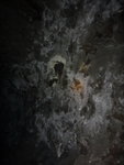 入隧道無耐見頭頂好多蝙蝠
DSC00392