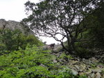 DSC00686