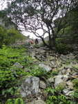 下降虎吼石河, 開始入林帶
DSC00687
