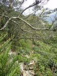 DSC00690