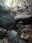 DSC00736