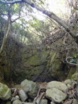 DSC00739