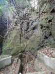 DSC00746