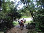 到馬路(嶼南道)啦
DSC00766