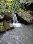 DSC00817
