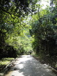 林蔭路好好行
DSC00866