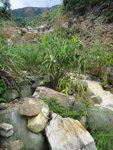 DSC00910