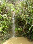 DSC00925
