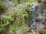 DSC00942