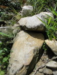 DSC01015