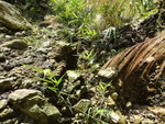 DSC01019