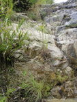 DSC01023