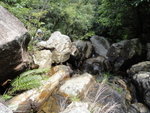 DSC01051