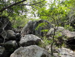 DSC01053