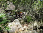 DSC01061