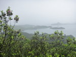 山路左望印洲塘及遠處的吉澳, 尖山可能是吉澳的黃幌山
DSC01192