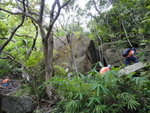 左邊入澗好似即刻要濕腳, 右邊有山路過
DSC01668