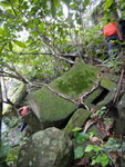 又分左右?
DSC01674