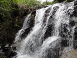 DSC01703