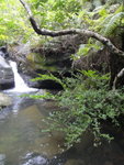DSC01717