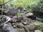 上溯老鼠田坑
DSC01724