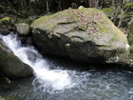 DSC01732
