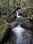 DSC01736