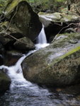 上溯老鼠田坑
DSC01740