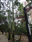 涼亭旁有個路牌
DSC02017