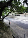 落抵馬路(安定路)轉左前行 DSC02026