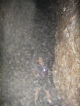洞中好濕, 影相白濛濛哩, 不過好似話洞中有蝙蝠, 且洞壁底地下多蝙蝠糞
DSC02542