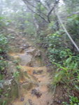 今日天雨路滑都係唔攀石壘, 山路上石壘頂啦
DSC02667