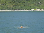 南丫島崖頭/黃竹角綑邊, 一泳渡位
DSC03010