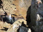 下面就是將軍石下小洞出口處
DSC03092