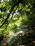 DSC03311