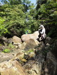 DSC03329
