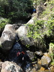 上溯牛頭坑, 途中有水淋身消暑
DSC03339