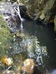 DSC03451