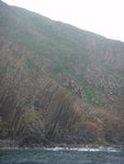 DSC03934