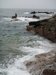 DSC03980