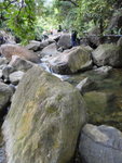 DSC04193