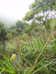 DSC04499