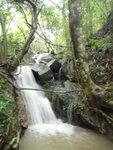 DSC04518